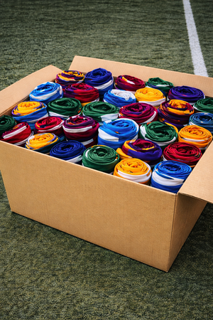 Descriptive image text