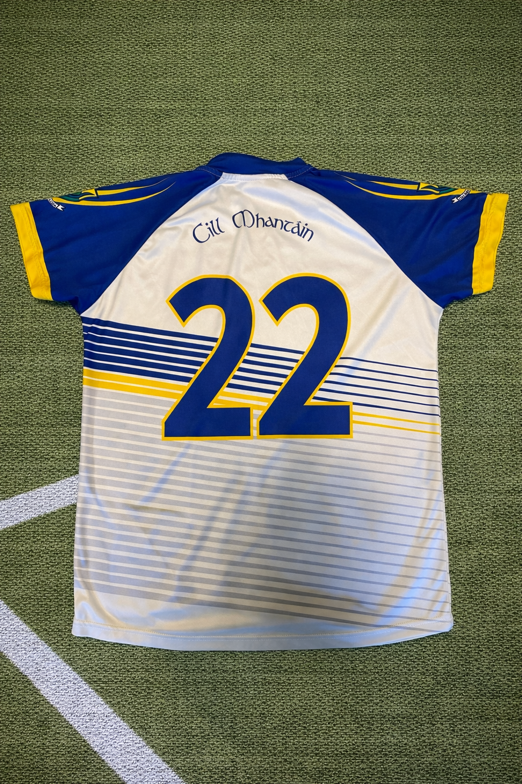 Wicklow LGFA Matchworn Jersey | No.22 - Masita Size 16