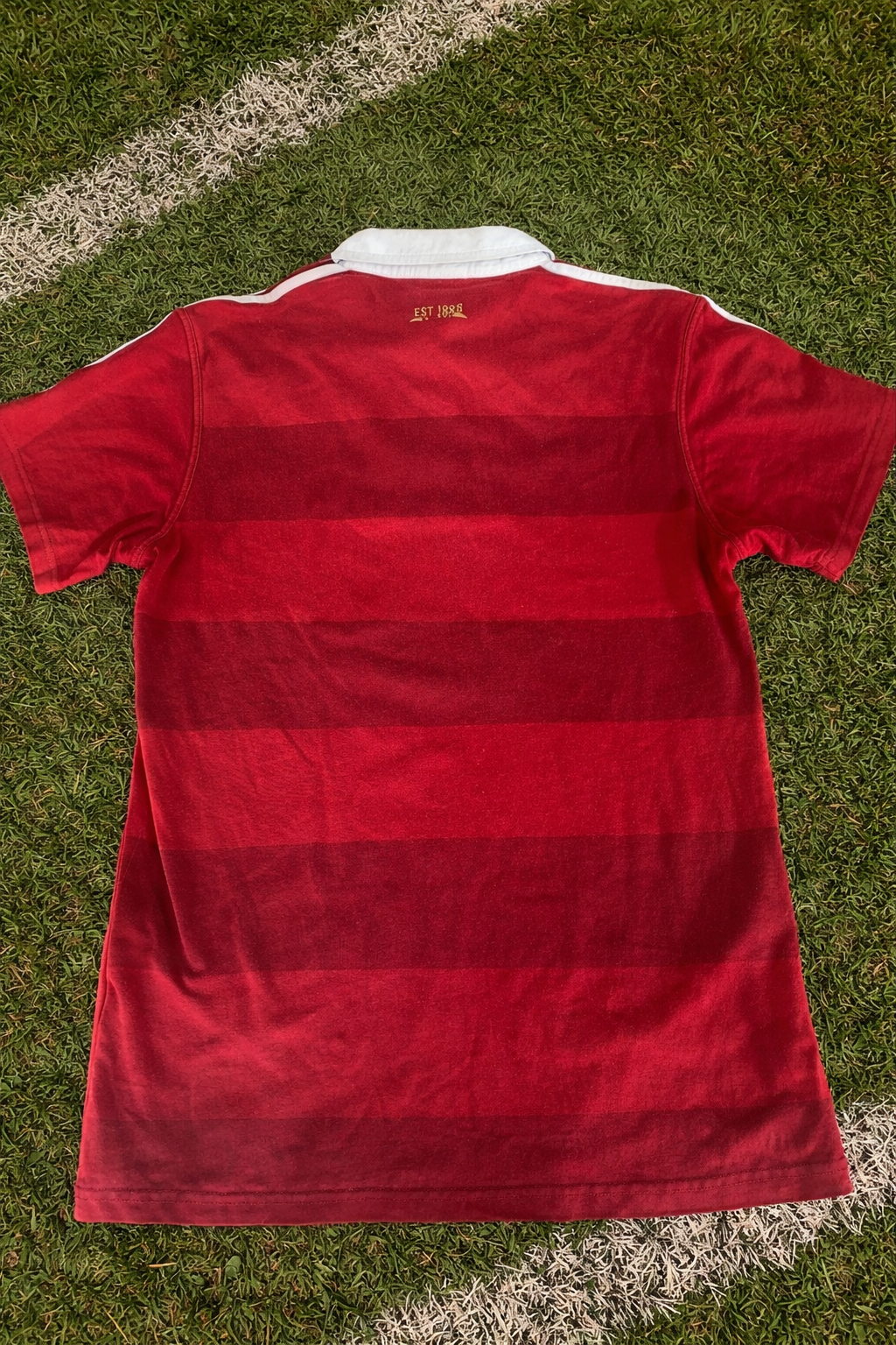 British and Irish Lions Jersey | 2013 Australia Tour